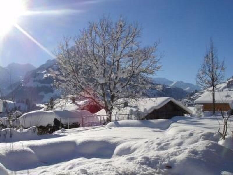 Alpenblick Nord