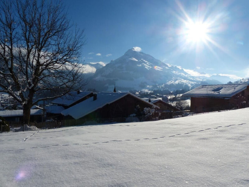 Alpenblick Nord