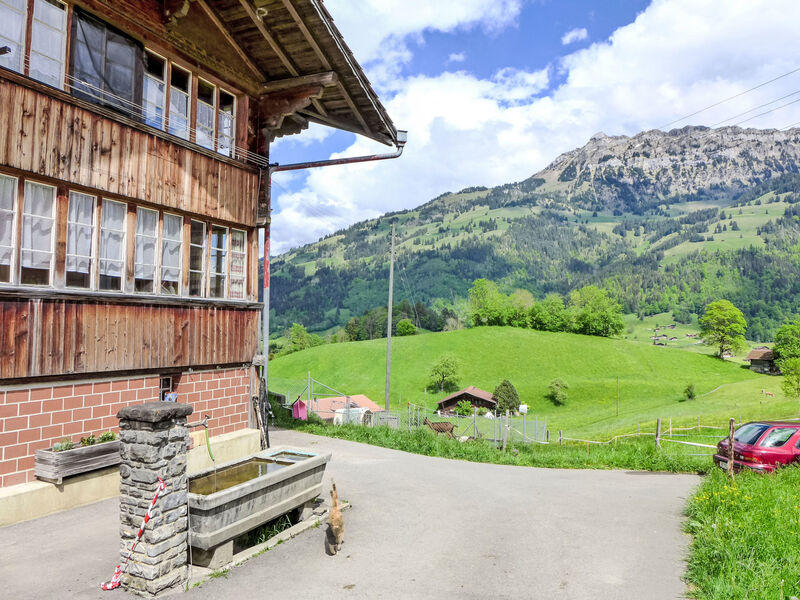 Reinisch