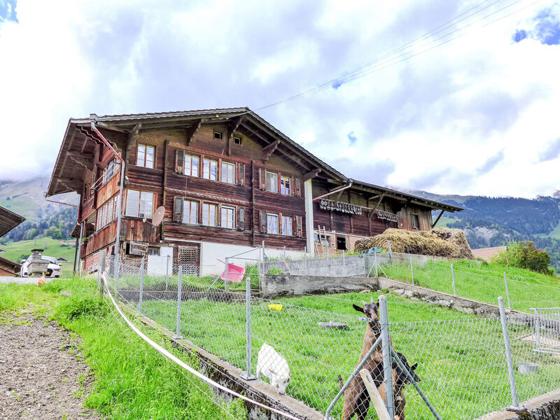 Reinisch