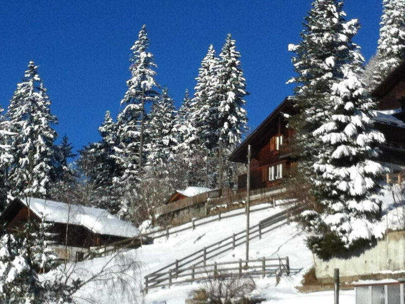 Chalet Silberdistel B11