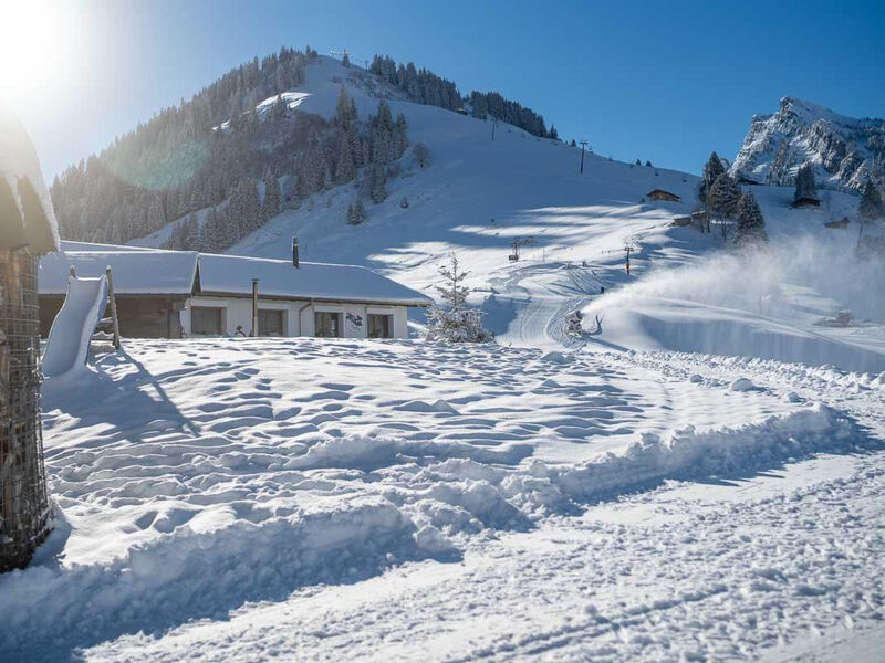 Berg Herz Grimmialp