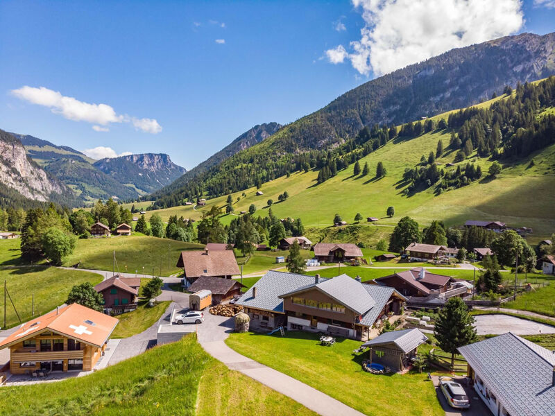 Berg Herz Grimmialp