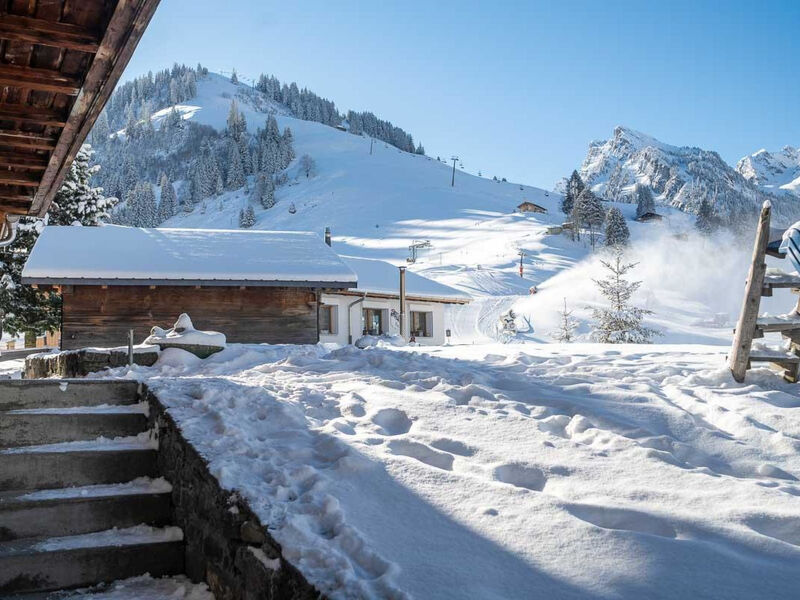 Berg Herz Grimmialp