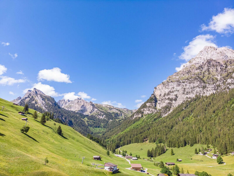 Berg Herz Grimmialp
