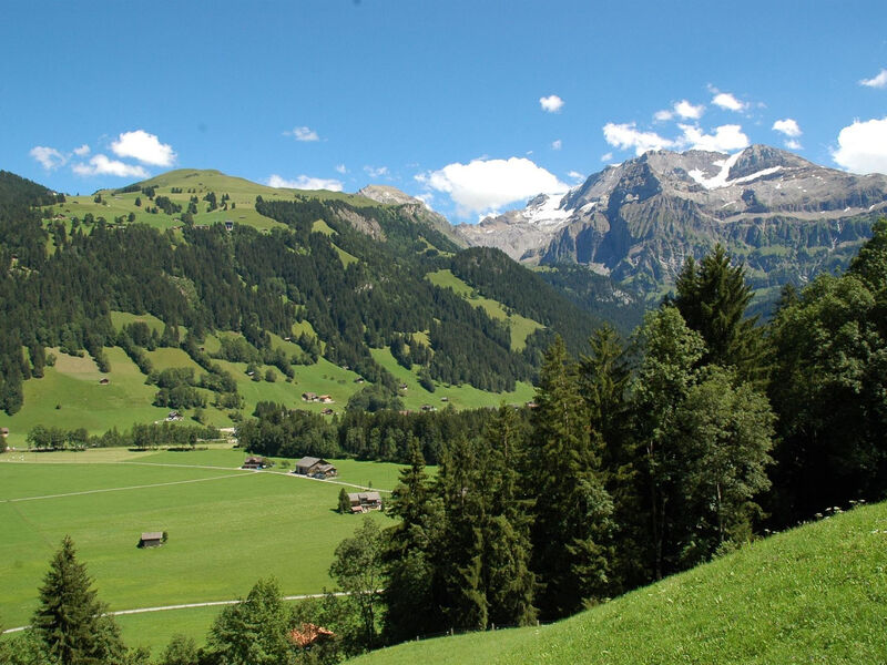 Strubelblick Eg