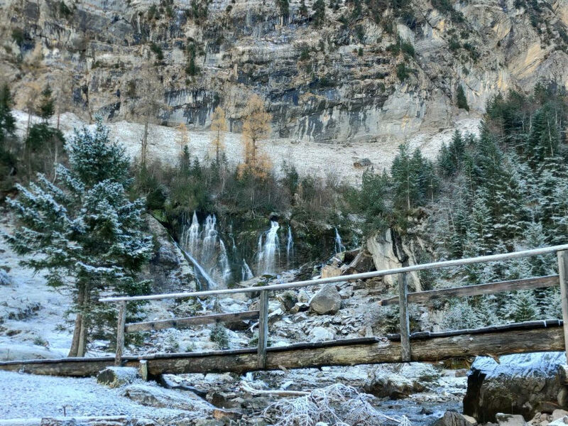 Lenk Unique