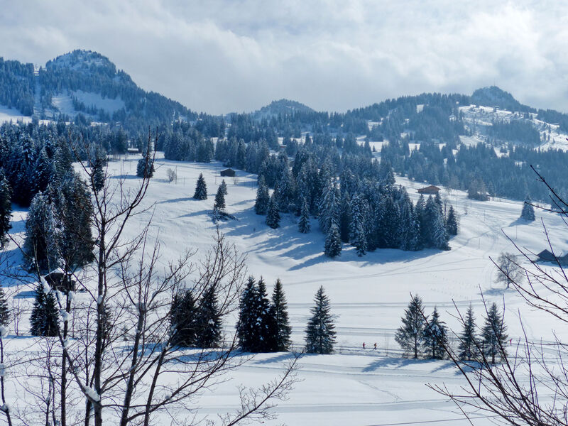Chalet Ahorni