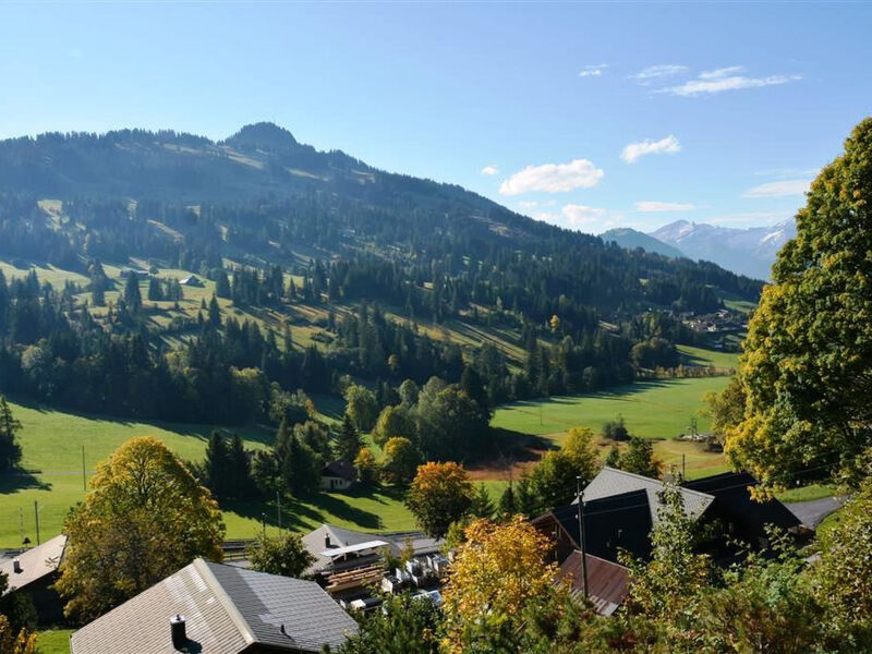 La Ruche, Chalet