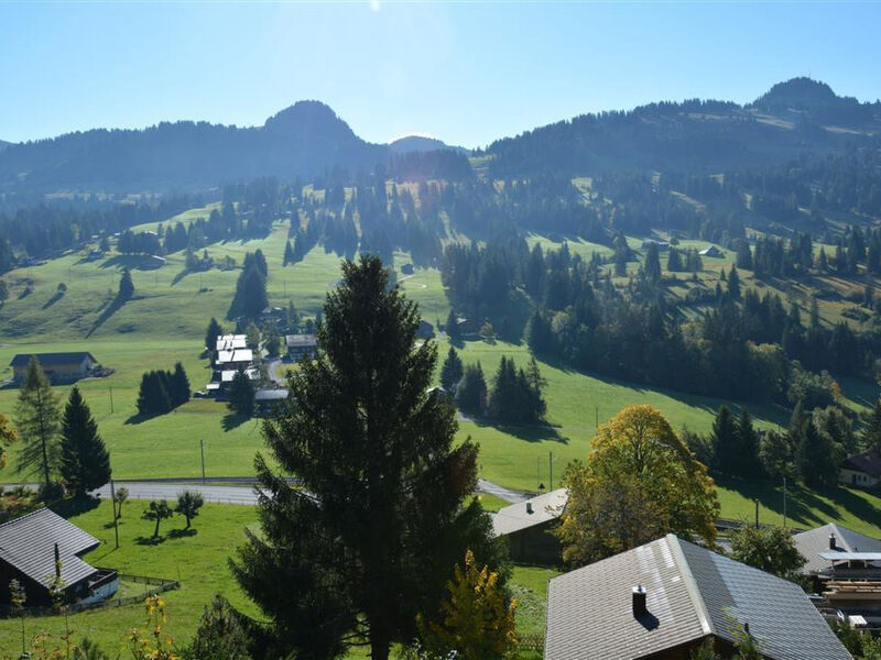 La Ruche, Chalet