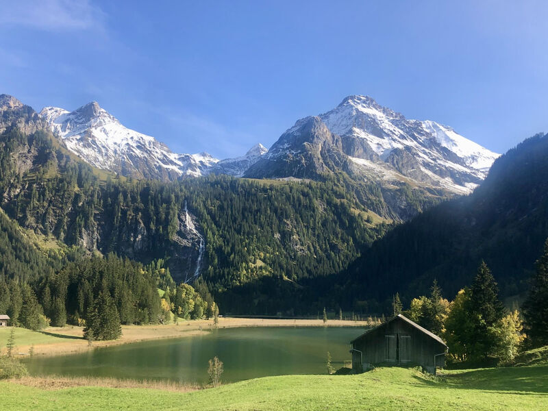 Am Schilf