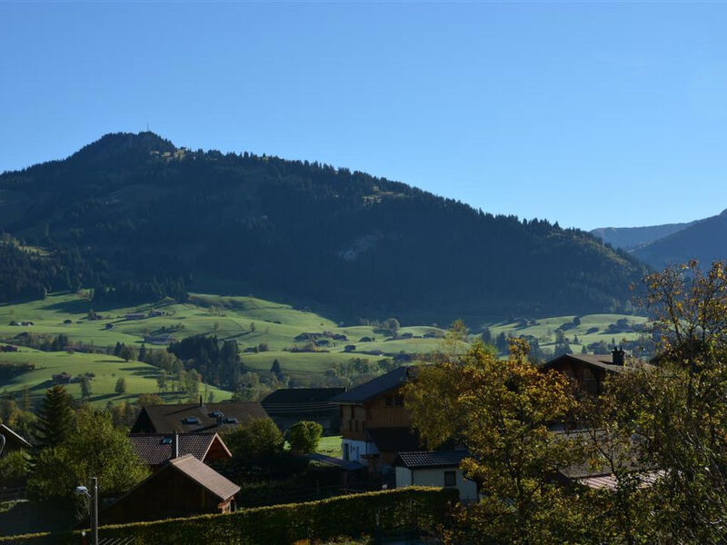 Hornflue (Wohlwender)