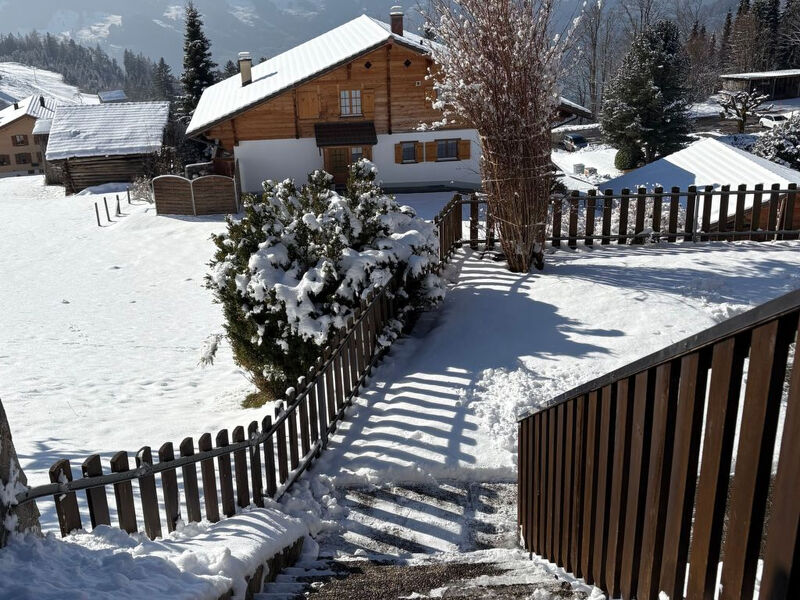 Chalet Friedheim