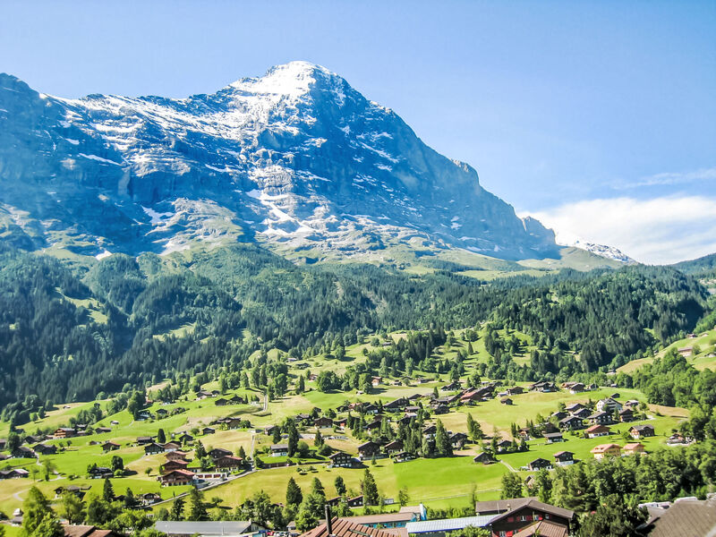 Cortina