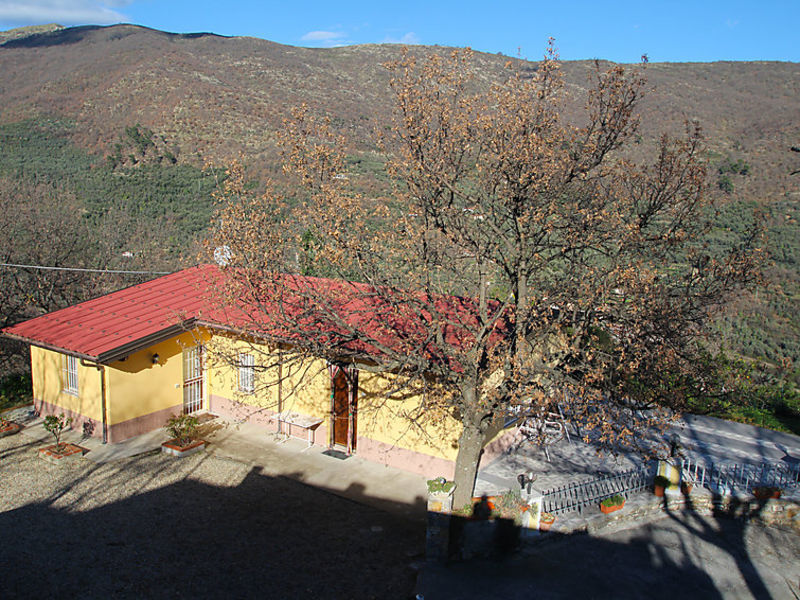 Arentino