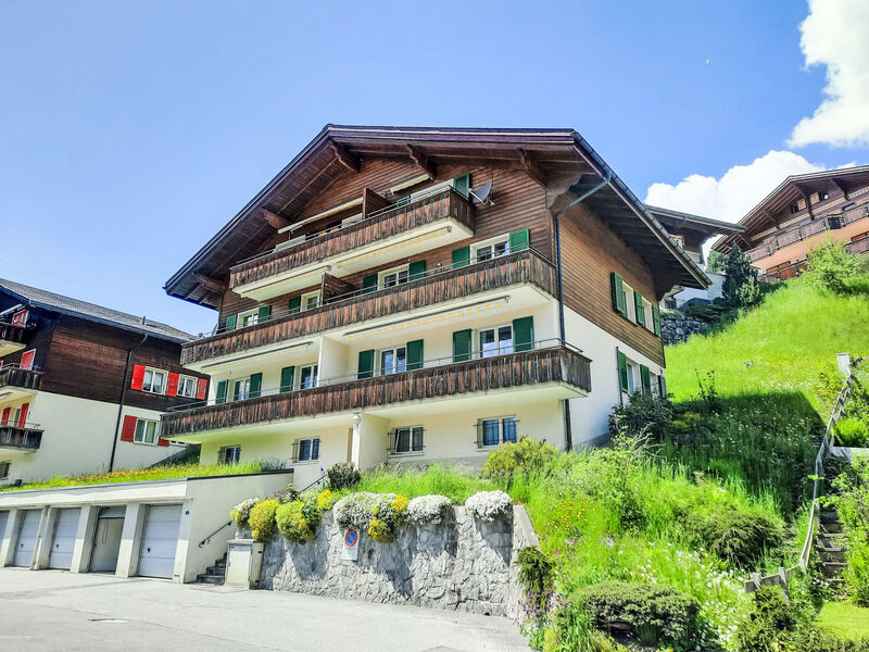 Chalet Zur Höhe