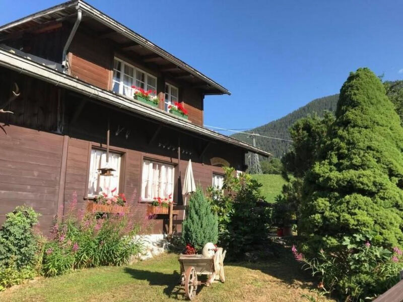 Beim Faulensee 2-Bett Wohnung  1. Stock Ost