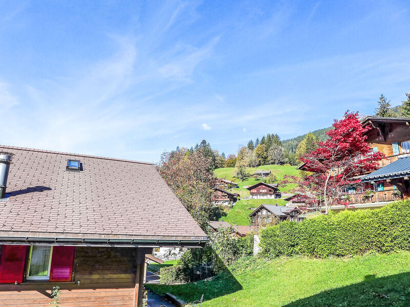 Chalet Albi