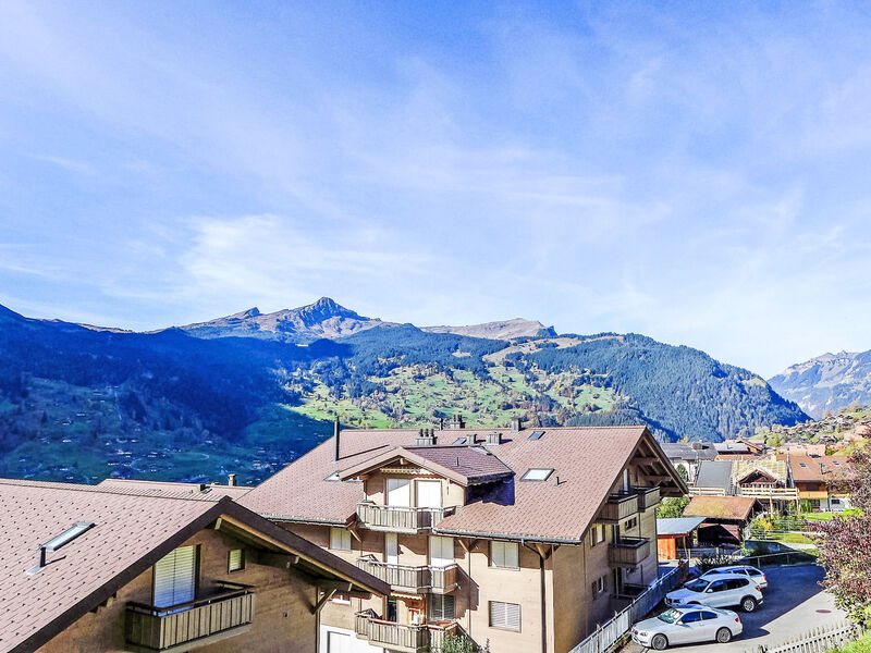 Chalet Albi