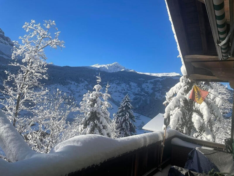 Chalet Tannegüetli