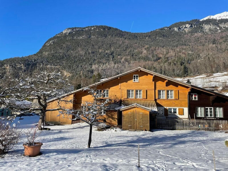 Alpine Home Streich