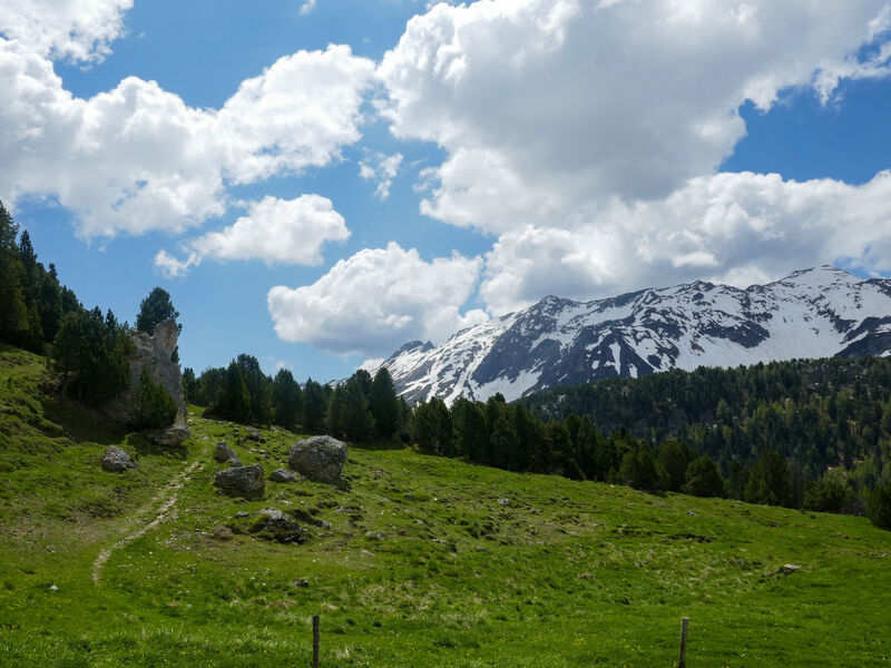 Rustico Edel