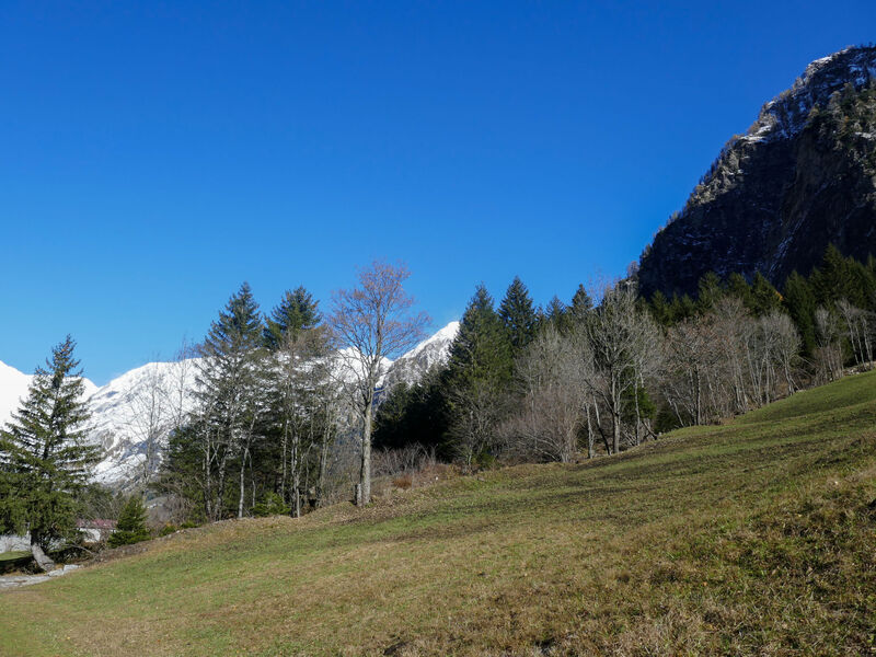 Rustico Stübii