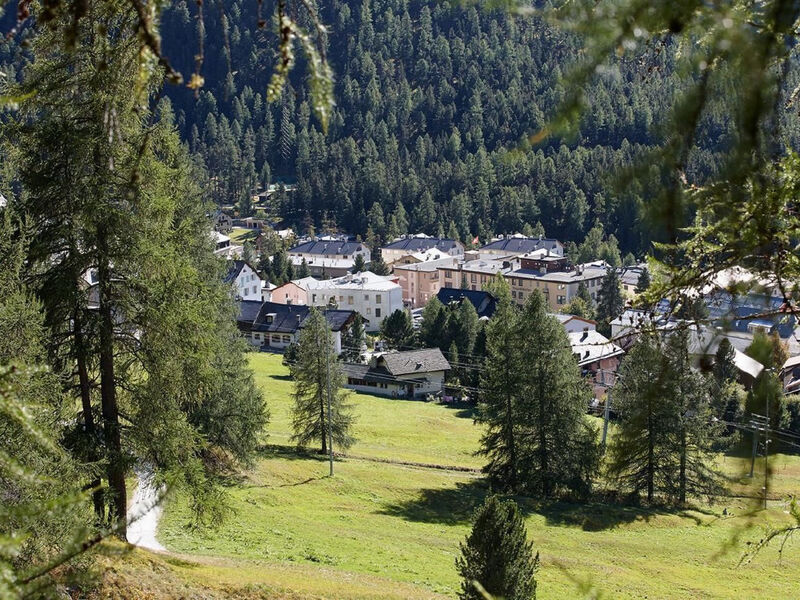Alpine Lodge 4-Bett-Wohnung Chesa Plattner / 