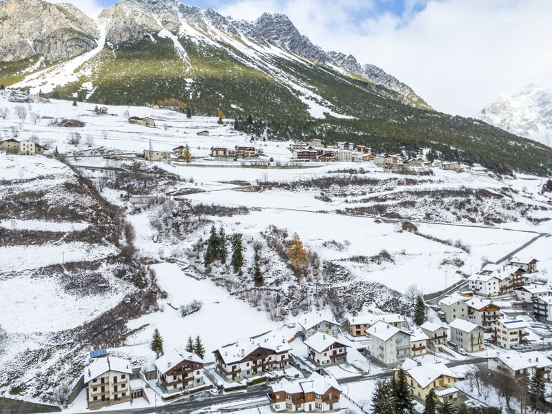 The Silent Sylva