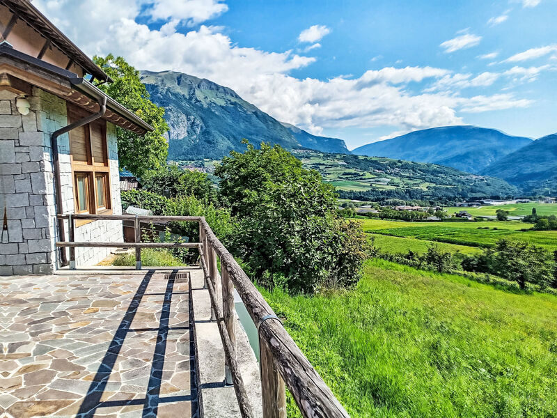 Picchio Primavera