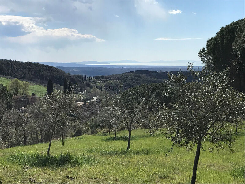 Podere Lo Zolfo