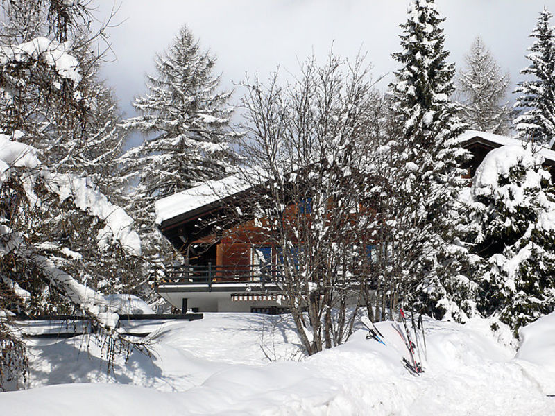 Le Loup Blanc
