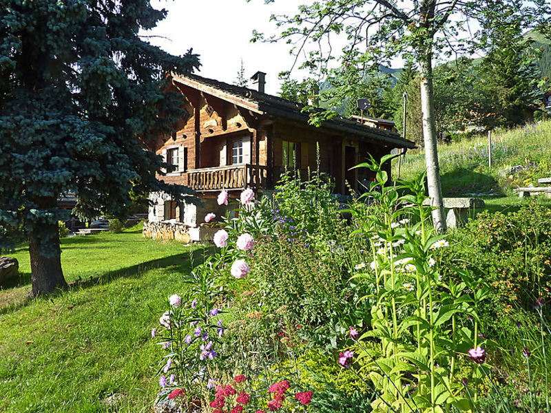 La Tintaz