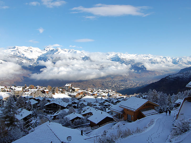 Chalet Les Roches
