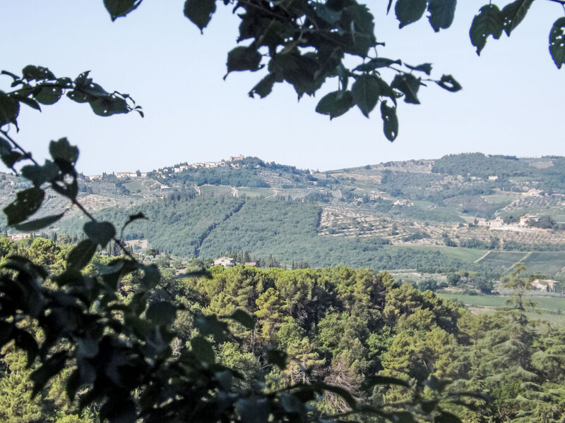 Il canto dei merli