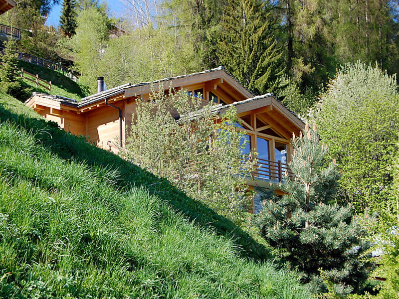 Chalet Arvine