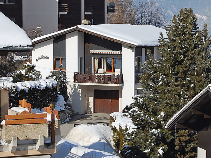 Etoile Des Neiges