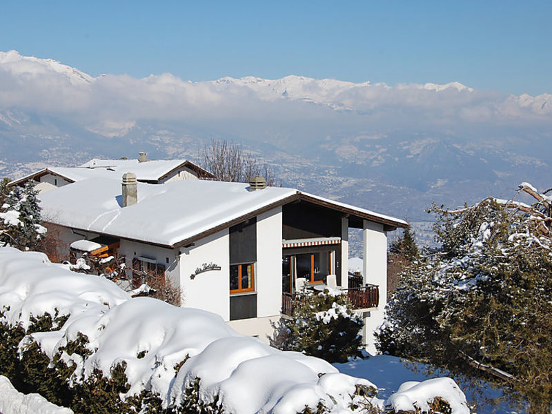 Etoile Des Neiges