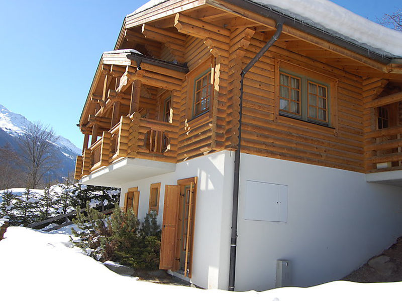 Bardane