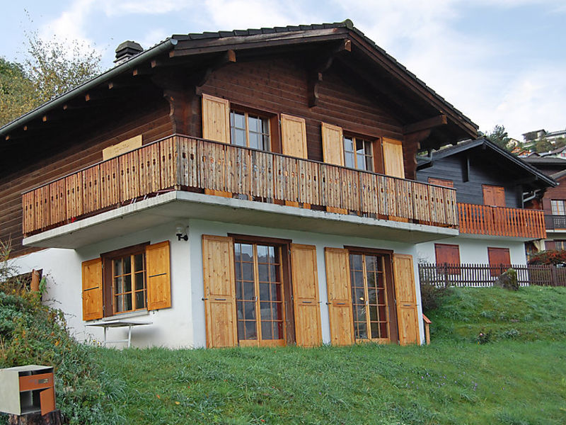 Chalet Enfin
