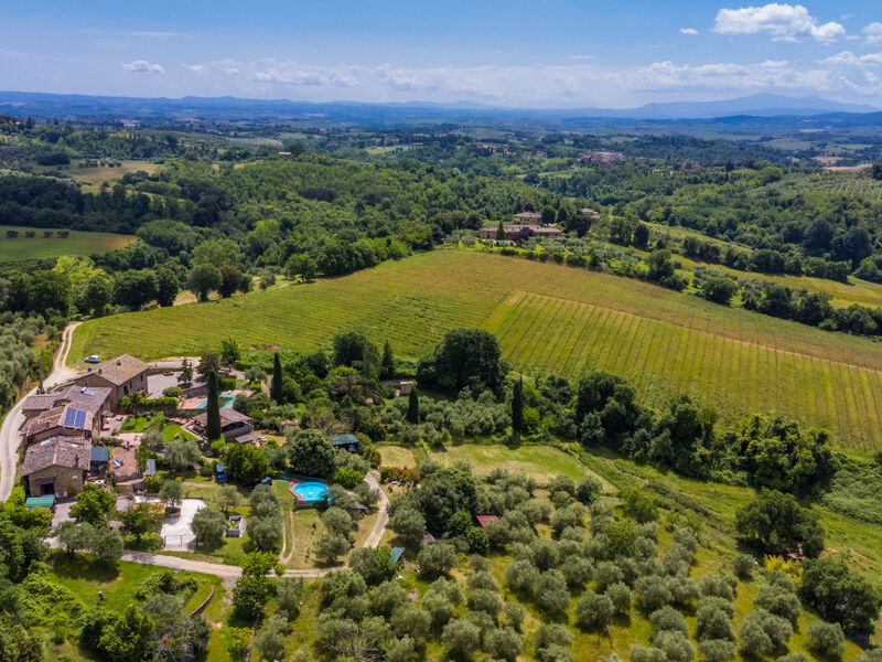 L'Oliviera