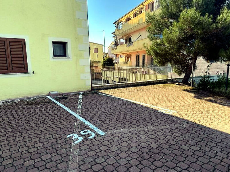 Pellicano Azzurro