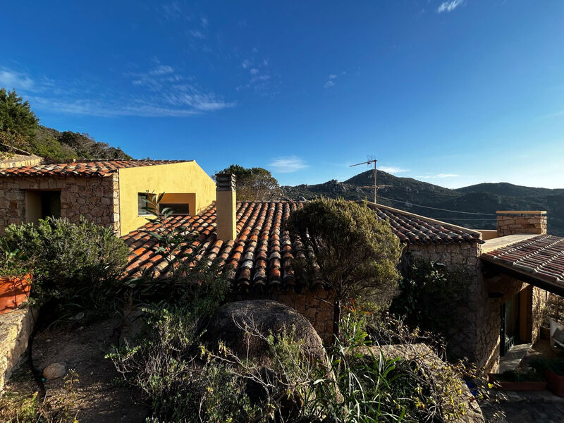 Vila Li Rocchi