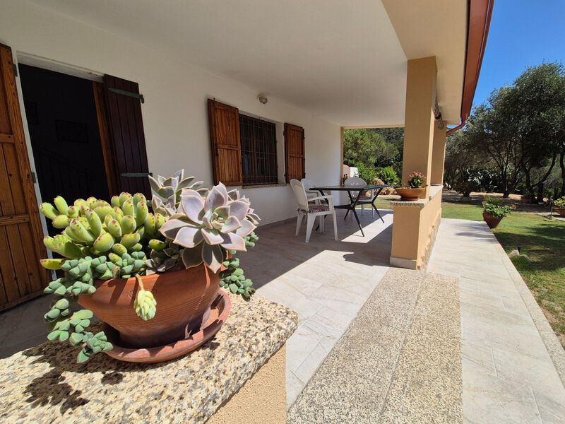 Casa Solaria