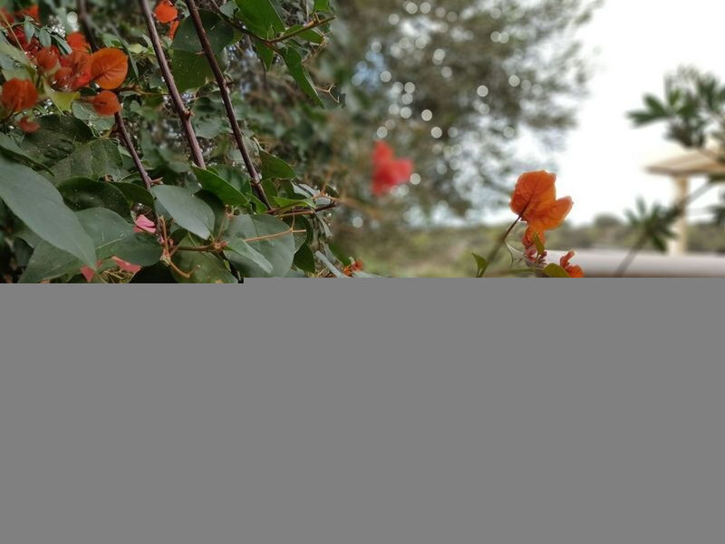 Su Niu Crobu