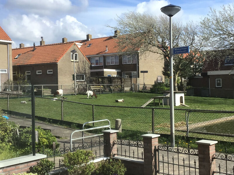 De Boutjes