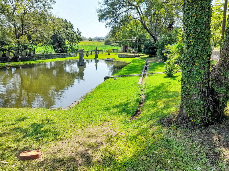 Quinta d´Azenha