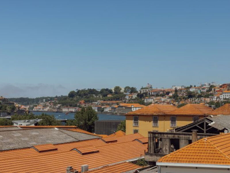DOURO PANORAMIC VIEWS by VACATIONY