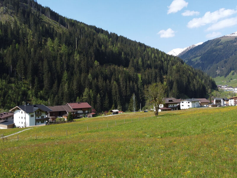 Wanglblick