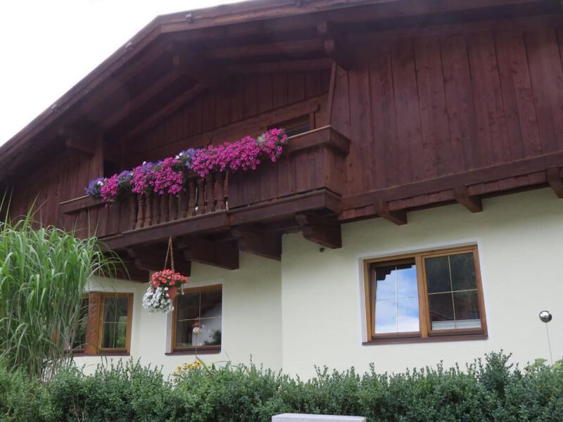 Apartmán Elena